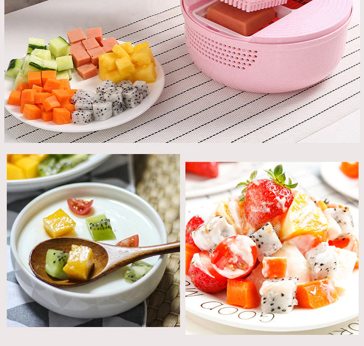 Vegetable Chopper With Detachable Blades