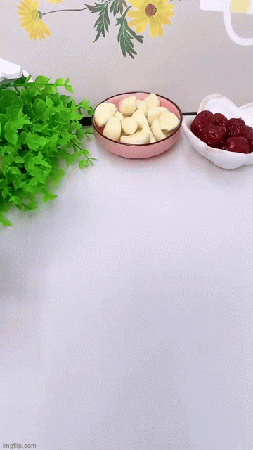 Multi-Functional Manual Stainless Steel Ginger Garlic Slicer