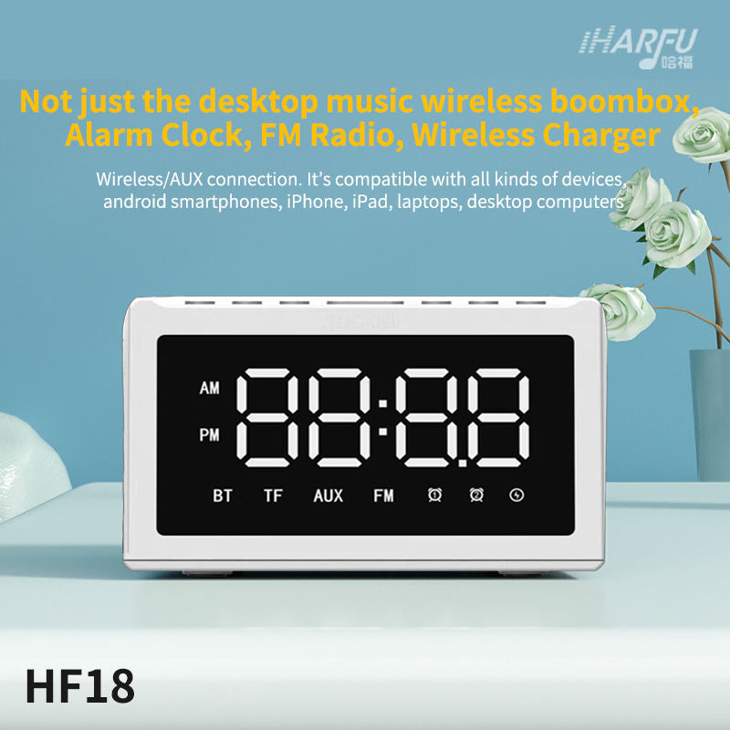 Portable Wireless Induction Bluetooth Speaker